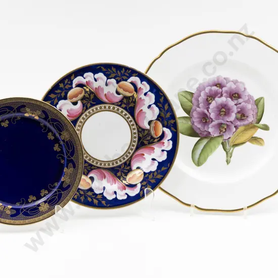 Early C19th Spode Plate