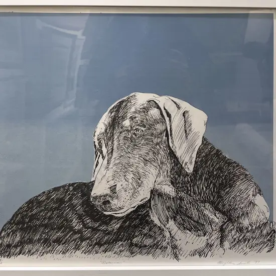 Leighton Smith - Doberman - Ltd Ed Print