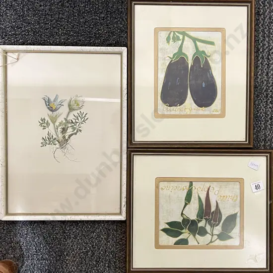 Three Assorted Framed Botanical Works