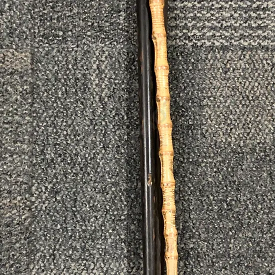 Three Walking Sticks