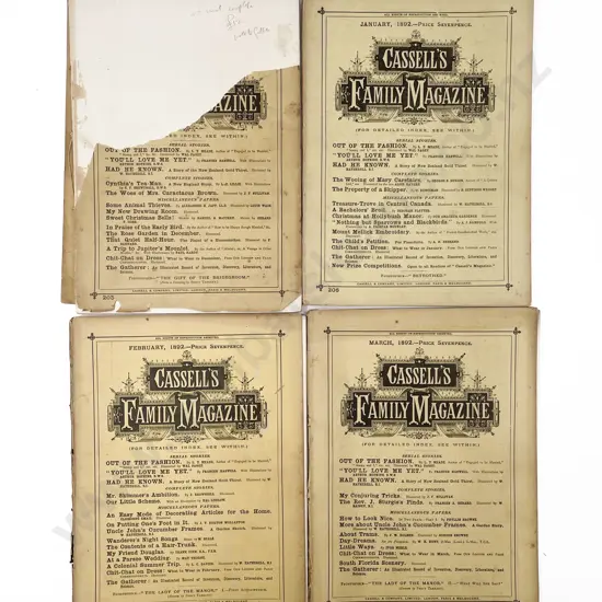 Cassell's Family Magazine (7)