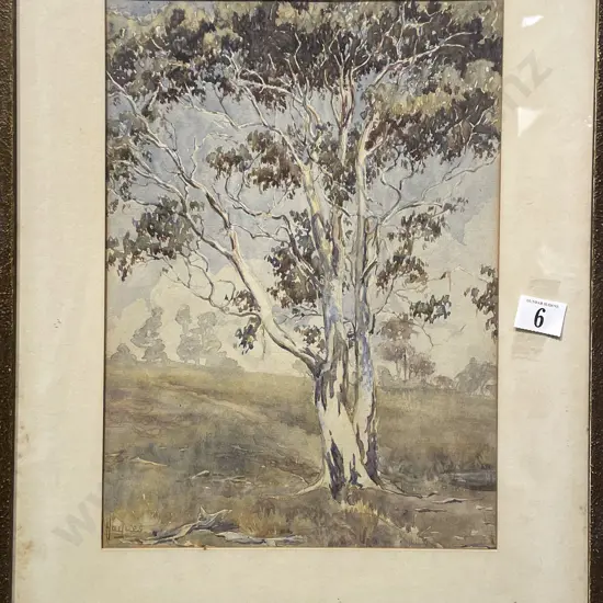 W/C Tree Study Indistinctly Signed