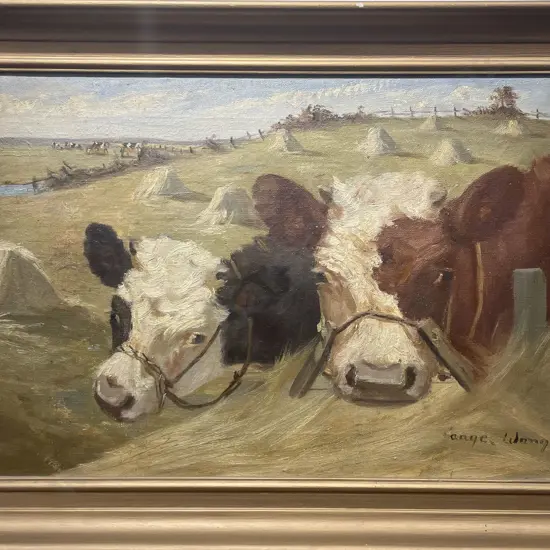 Ange Wong - Cattle Study - Vintage Oil on Canvas