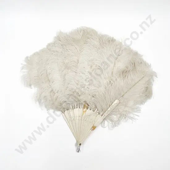 Ivory and Ostrich Feather Fan