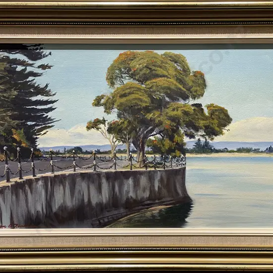 Ian A. Findlay - Flowering Gums - Oil on Board