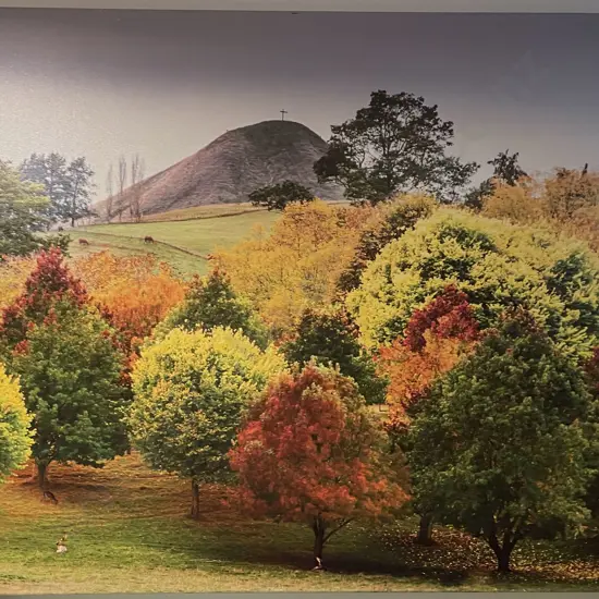 Digital Print on Canvas - Rural Taihape