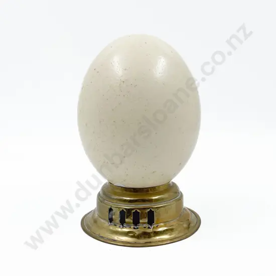 Ostrich Egg