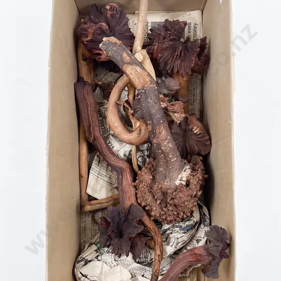 Quantity of Assorted Wood Stem Burrs