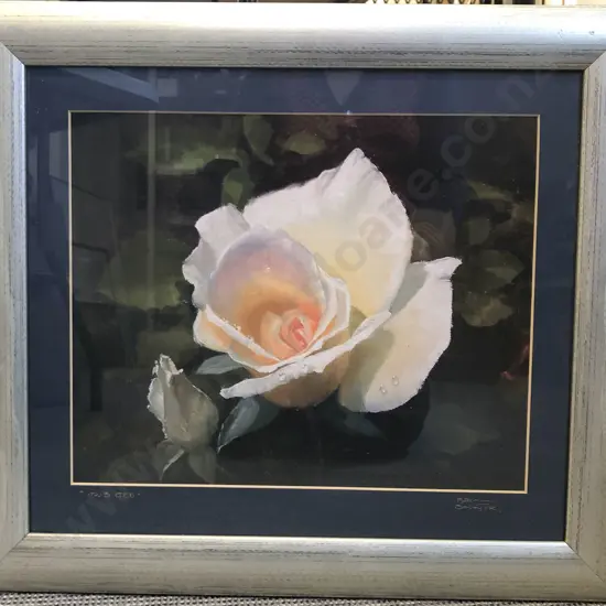 Brian Baxter - Iris Gee - Signed Print