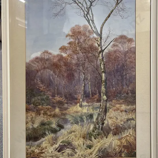 F H Walker - Birch Trees by the Stream- Watercolour