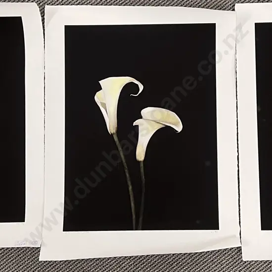 Chris Wright - Three Unframed Lithopraphic