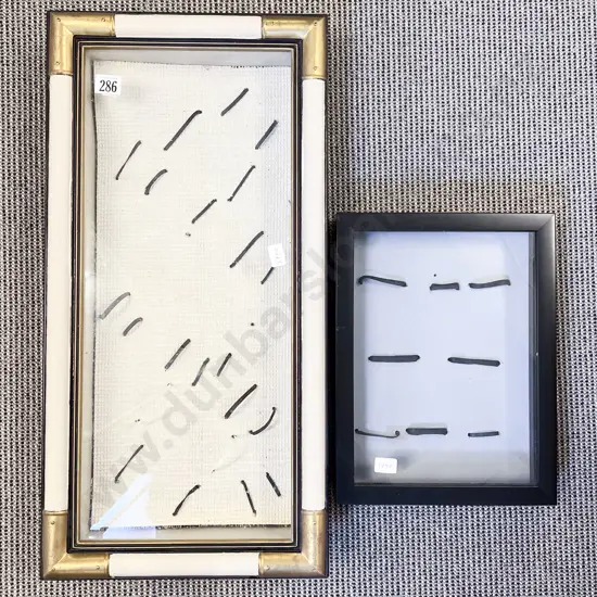 Two Wall Mounted Hanging Display Cabinets