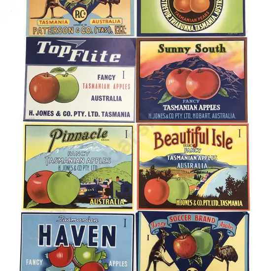 Fifteen Assorted Vintage Tasmanian Fruit Box Labels