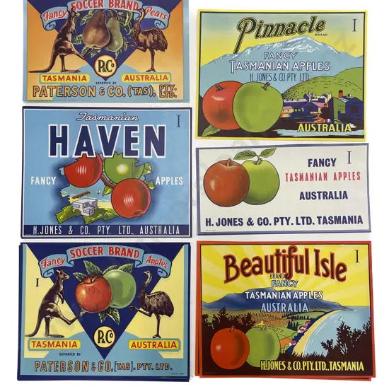 Fifteen Assorted Vintage Tasmanian Fruit Box Labels