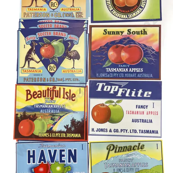 Fifteen Assorted Vintage Tasmanian Fruit Box Labels