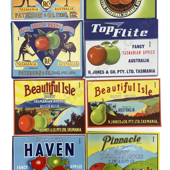 Fifteen Assorted Vintage Tasmanian Fruit Box Labels