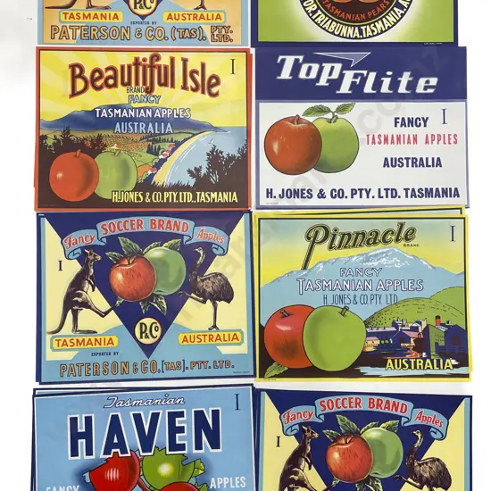 Fifteen Assorted Vintage Tasmanian Fruit Box Labels
