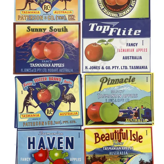 Fifteen Assorted Vintage Tasmanian Fruit Box Labels