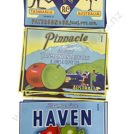 Twelve Assorted Vintage Tasmanian Fruit Box Labels
