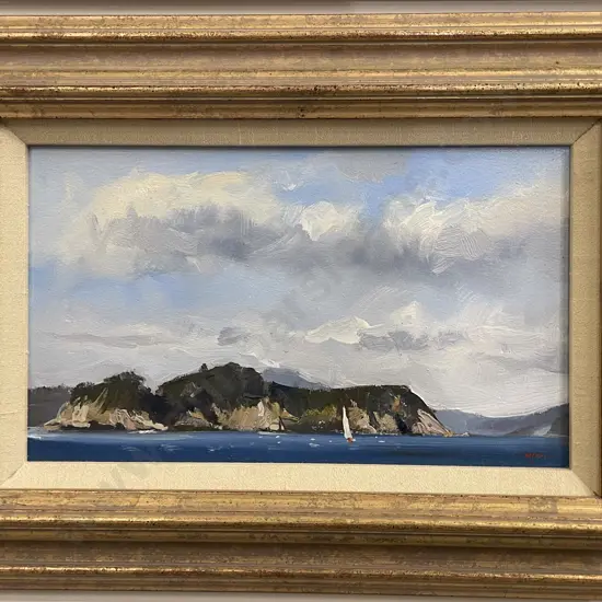 Colin Wynn - Sunday Sailor Bay of Islands