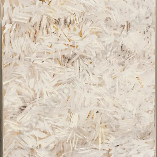 Barbara Lyon - Lavolta