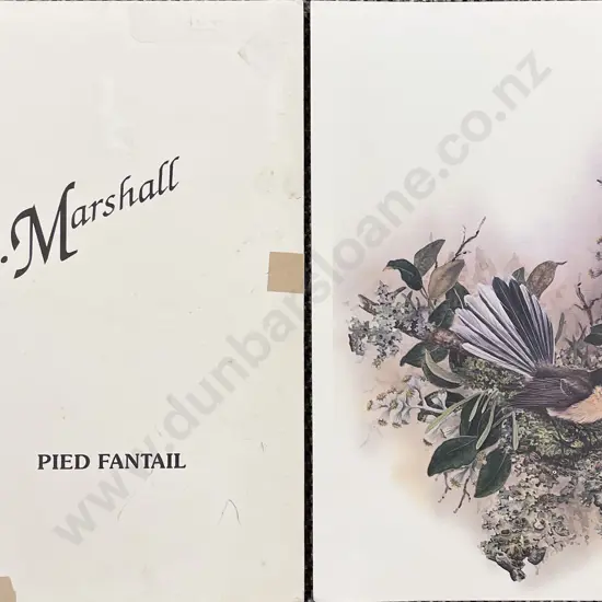 Janet Marshall - Fantail - Print - Proof Copy (unframed)
