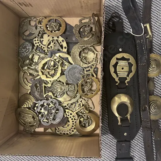 Collection Horse Brasses