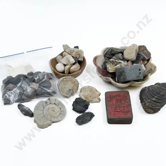 Collection of Fossil Pieces Various & Flints