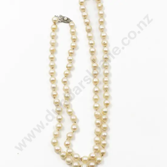 Uniform Single Strand Cultured Pearl Necklace