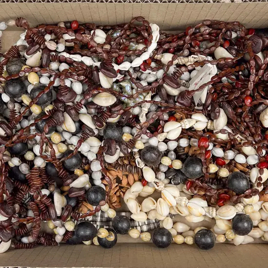 Collection Pacific Island Shell and Seed Necklaces