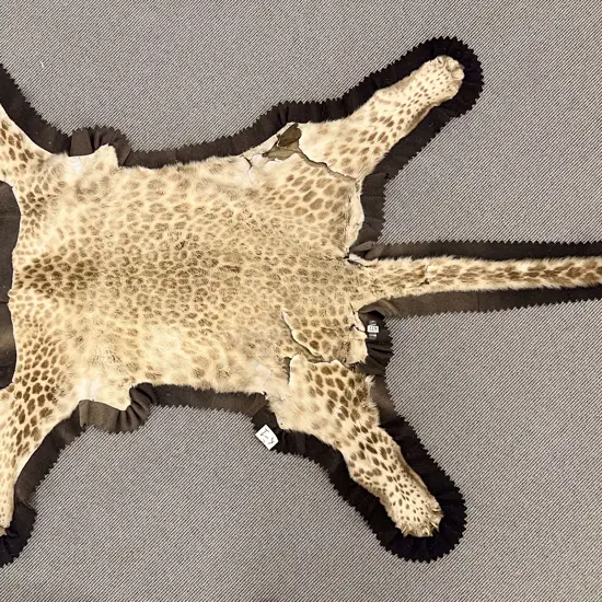 Antique Leopard Skin