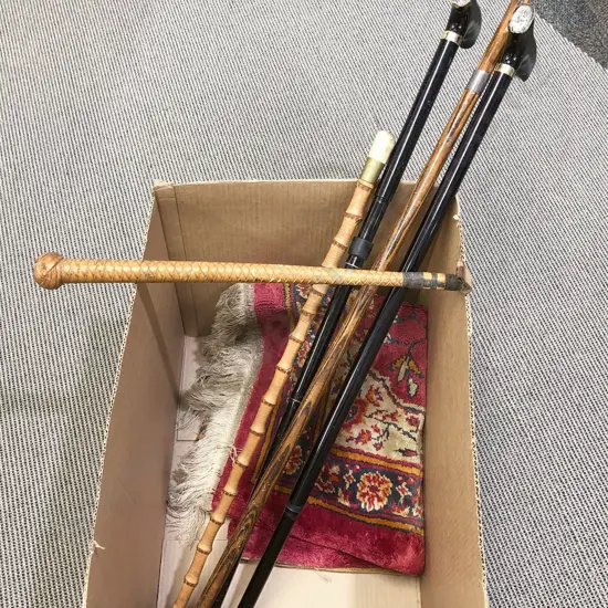 Quantity of Assorted Walking Sticks together with Floor Mat