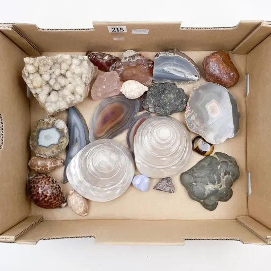Box of Assorted Shells and Mineral Samples etc
