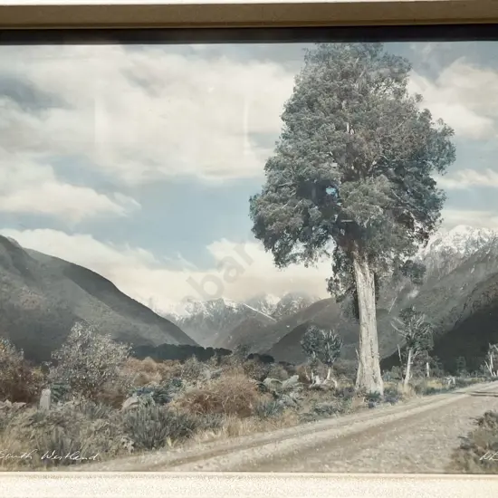 Whites Aviation - South Westland