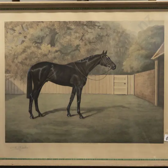 Juliet McLeod - Tulyar