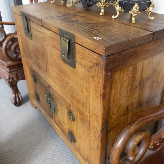 Chinese Elm Silver Chest with twin lidded storage top and cupboard below