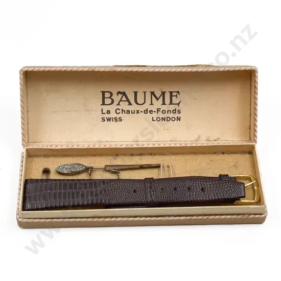 Edwardian Stick Pin and Watch Strap