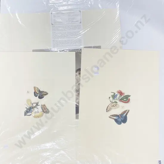 Four Reproduction Vintage Engravings (unframed)