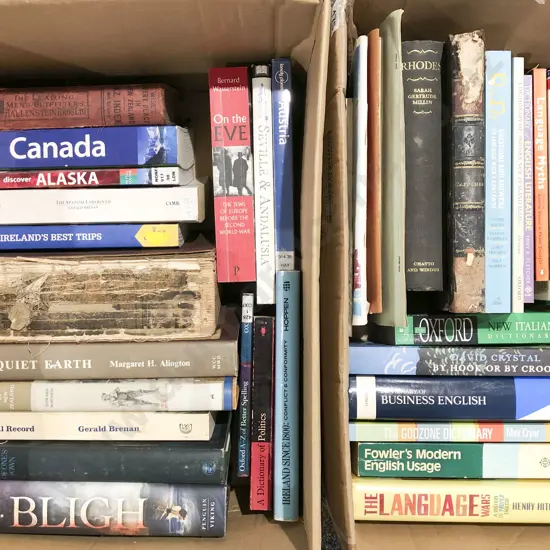 Two Boxes of Assorted Books