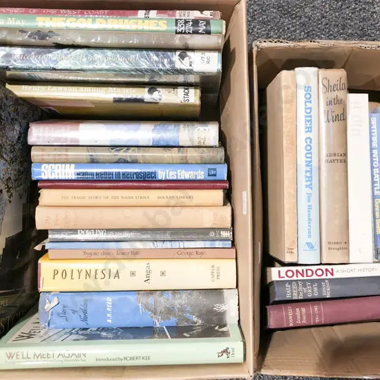 Two Boxes of Assorted Books