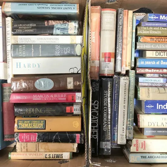 Two Boxes of Assorted Books