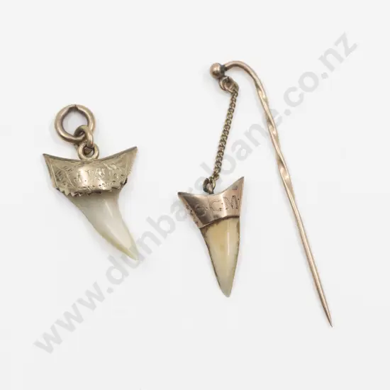 9ct Gold Mounted Shark Tooth Stick Pin and Pendant