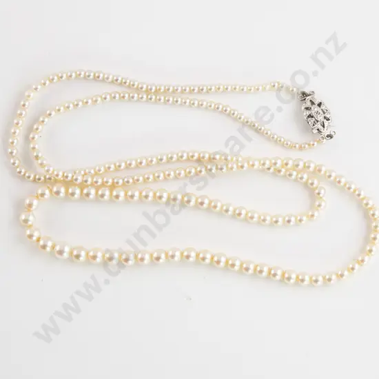 Single Strand Graduated Cultured Pearl Necklace