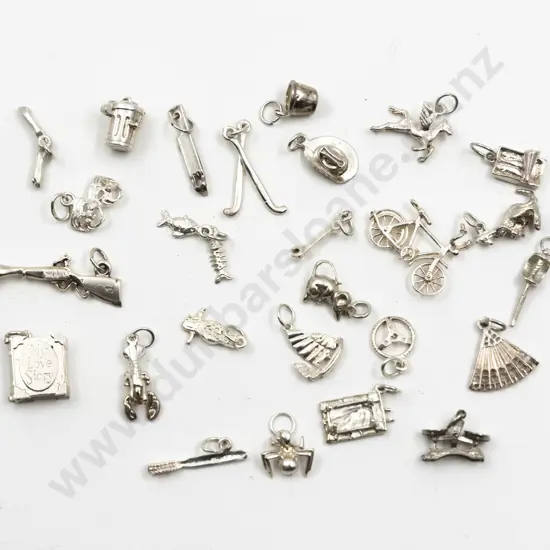 Collection 26 Silver Charms