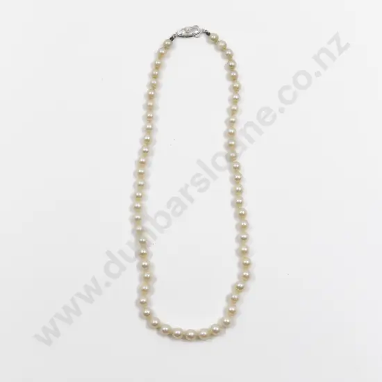 Single Strand Uniform Cultured Pearl Necklace