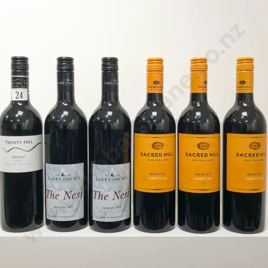 NZ Six Assorted Merlot and Merlot Blends