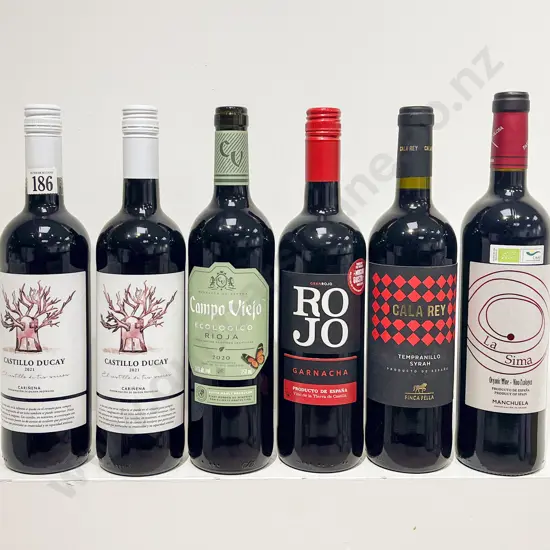 Six Assorted Spanish Red Wines