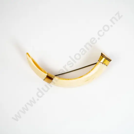 14ct Mounted Boar Tusk Brooch