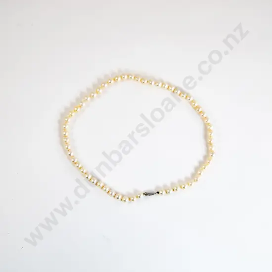 Single Strand Uniform Cultured Pearl Necklace