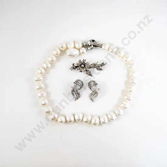 S/S Diamond Paste Floral Spray Brooch